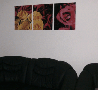 COLANT PERETE FLORAL